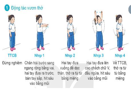 Bài giảng Giáo dục thể chất Lớp 1 - Bài: Bài thể dục phát triển chung (Dành cho nữ)