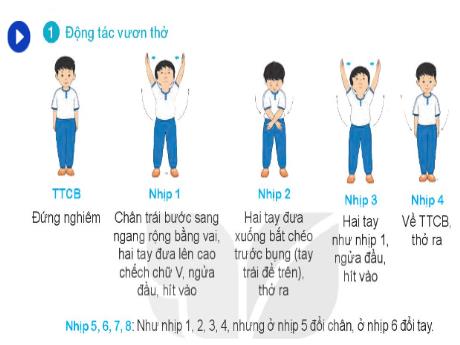 Bài giảng Giáo dục thể chất Lớp 1 - Bài: Bài thể dục phát triển chung (Dành cho nam)