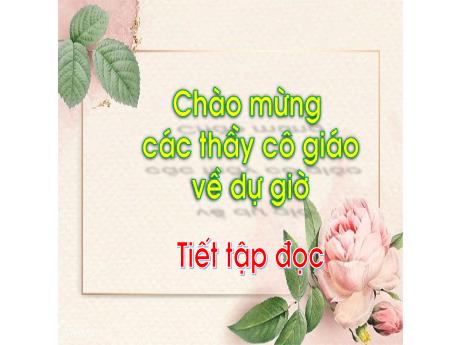 Bài giảng Tiếng Việt Lớp 1 (Kết nối tri thức) - Bài: Tiếng vọng của núi